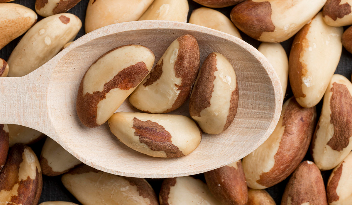 Brazil Nuts Health Benefits Nutrition And Risks October 2023